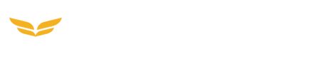 International Education Corporation Logo